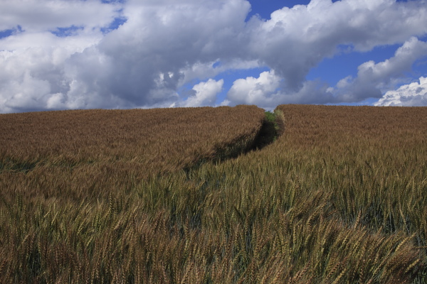 f0232758_22261827.jpg