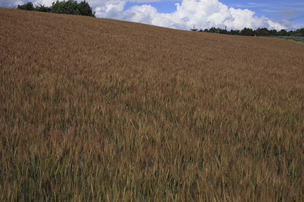 f0232758_22265570.jpg