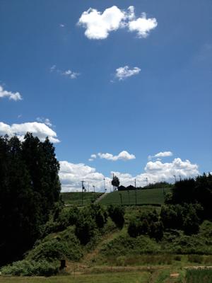 d0259360_9584599.jpg