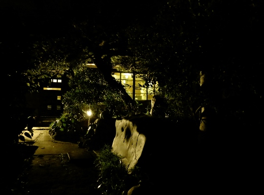 f0110663_13171654.jpg