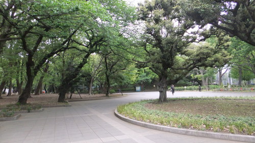 b0141970_661833.jpg
