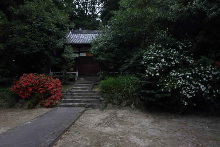 e0051888_22502186.jpg