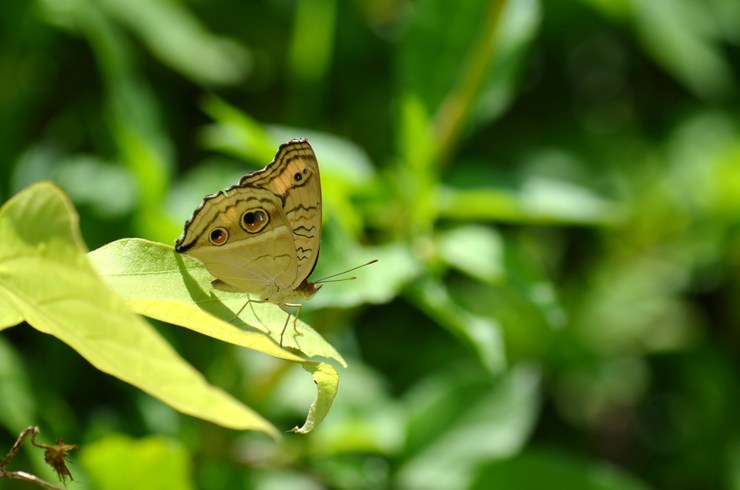a0277496_2021653.jpg