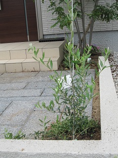 c0152002_18255048.jpg