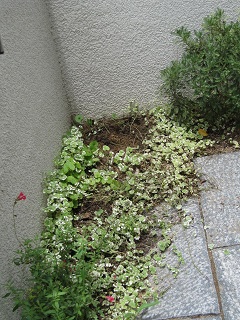 c0152002_18263917.jpg