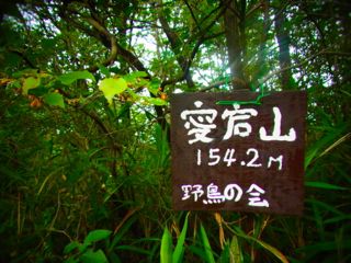 b0183911_23575639.jpg