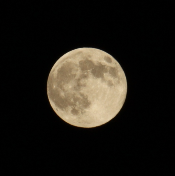 a0109914_22181750.jpg