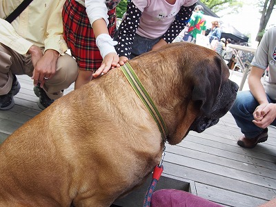 e0192217_13213123.jpg