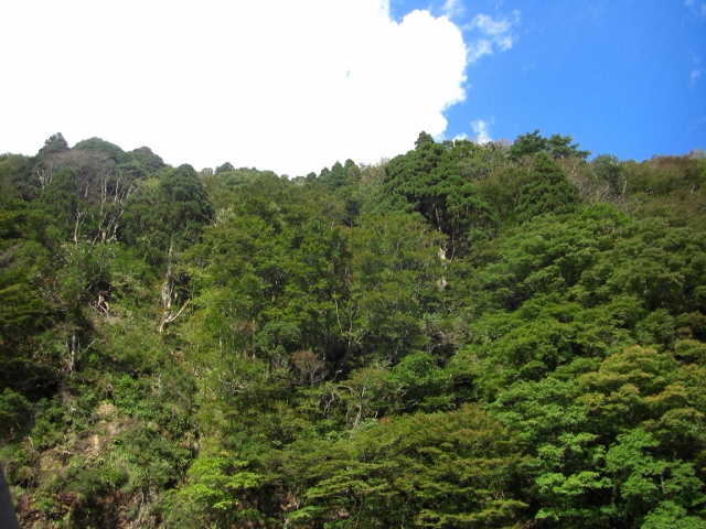 c0074721_1643931.jpg