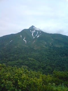 a0105023_824483.jpg