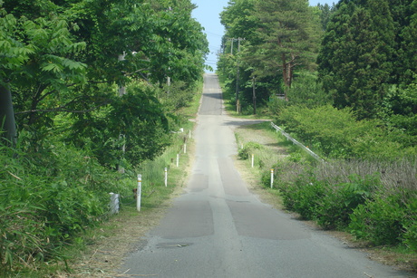 d0250123_2125369.jpg