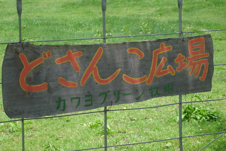 d0250123_21254558.jpg