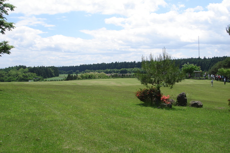 d0250123_21323045.jpg