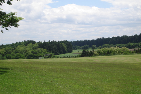 d0250123_21325125.jpg