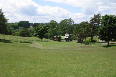 d0250123_2134546.jpg