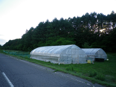 f0188324_8311584.jpg