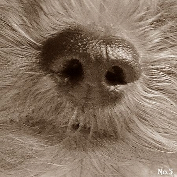 d0179828_22312297.jpg