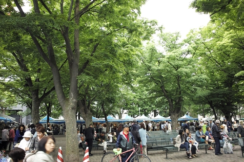 a0244631_17352278.jpg
