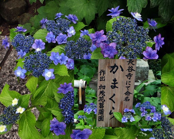 d0037233_90331.jpg