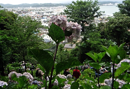 d0037233_903549.jpg