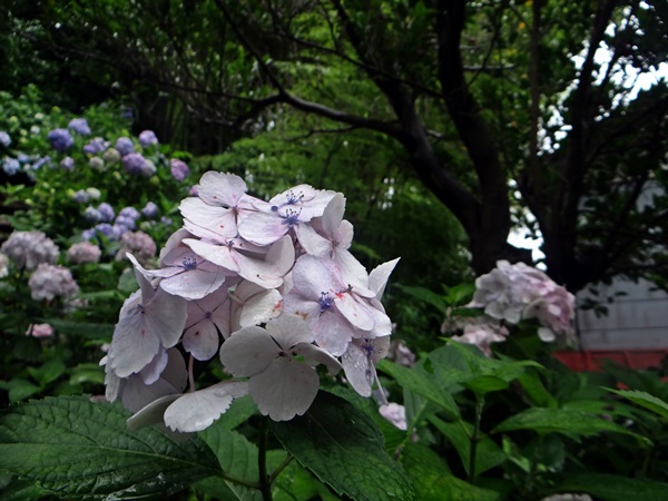 d0037233_9193182.jpg