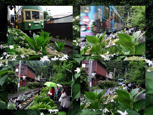 d0037233_921489.jpg