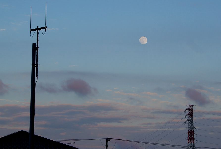 e0149934_20172324.jpg