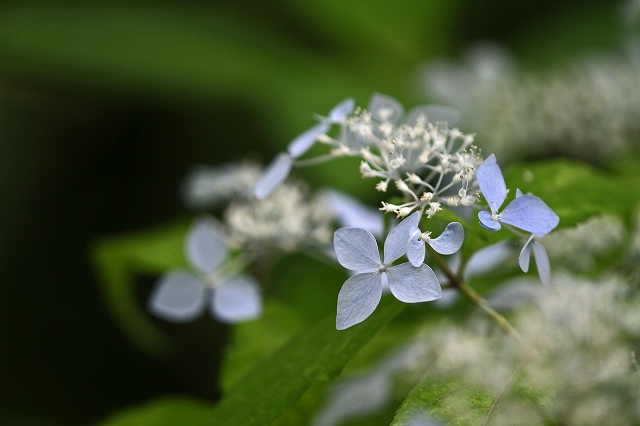 a0242438_16582141.jpg