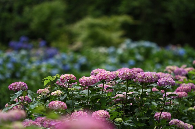 a0242438_17541553.jpg