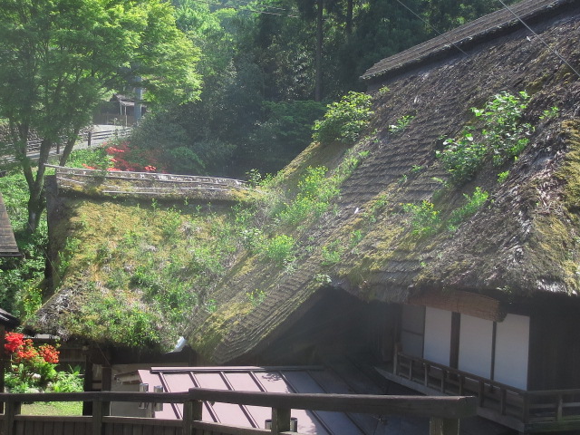 b0097747_13171447.jpg