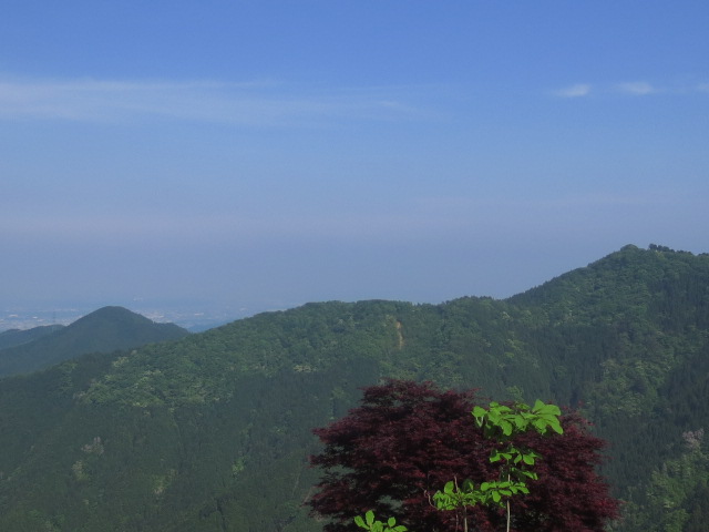 b0097747_13191577.jpg
