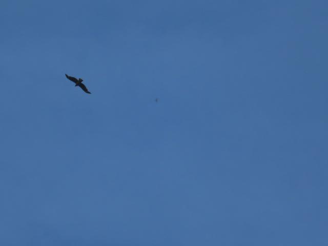 b0097747_13194244.jpg