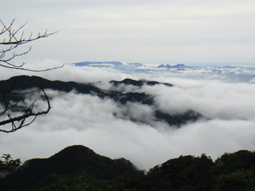 c0179351_2130495.jpg