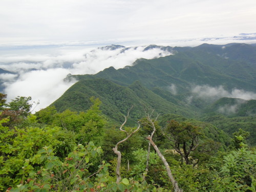 c0179351_2135532.jpg