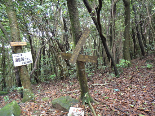 c0179351_21393915.jpg