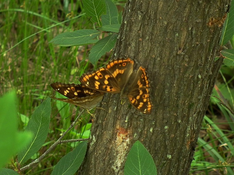 a0018655_19131662.jpg