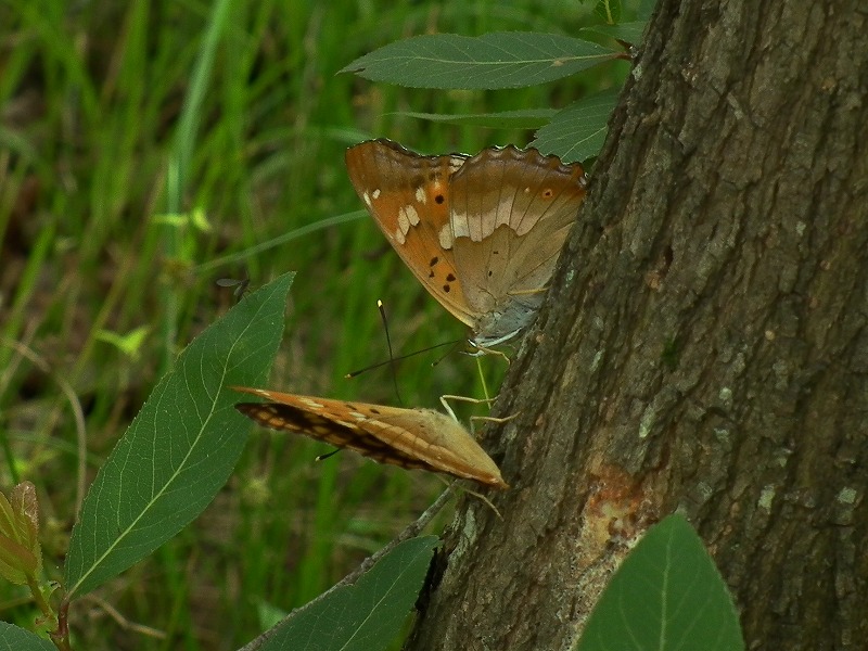 a0018655_1914289.jpg