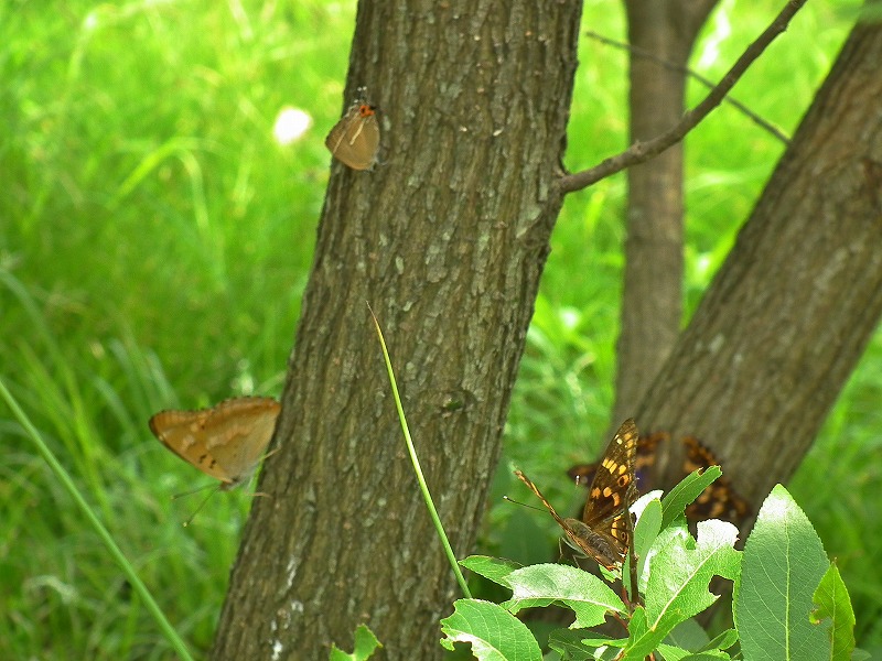 a0018655_1917323.jpg