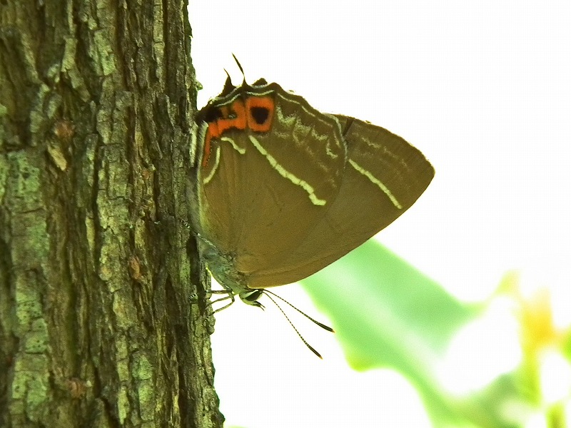 a0018655_19202158.jpg