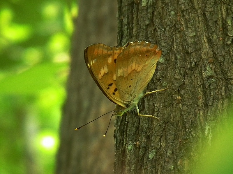 a0018655_1995975.jpg