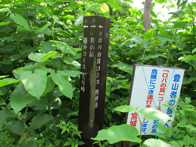 c0116856_1823626.jpg