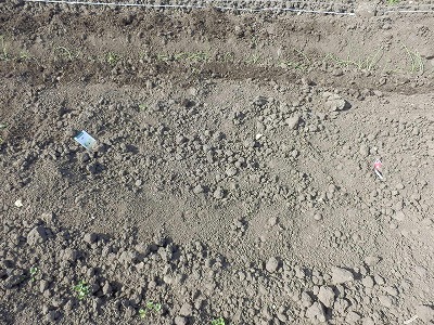 e0004756_21201693.jpg