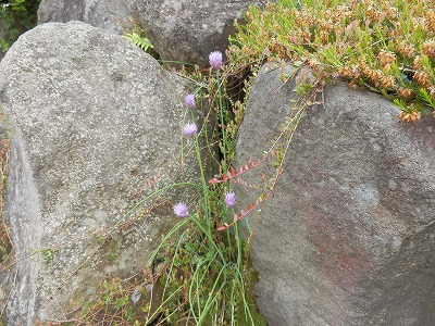 e0004756_21315673.jpg