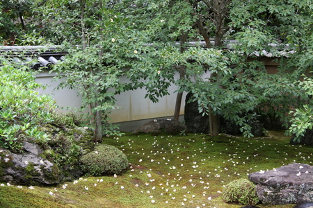 f0233356_1432453.jpg