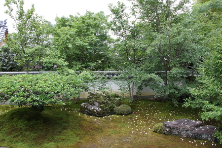 f0233356_145127.jpg