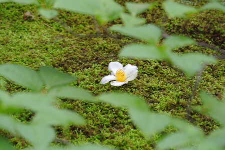 f0233356_1471199.jpg