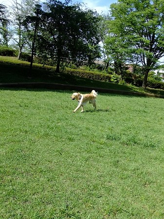 c0097558_154020100.jpg