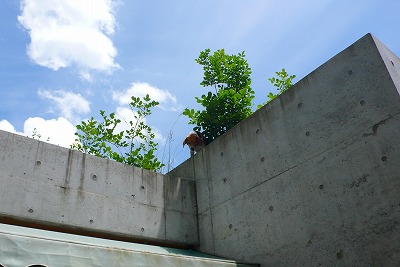 e0001860_23413199.jpg