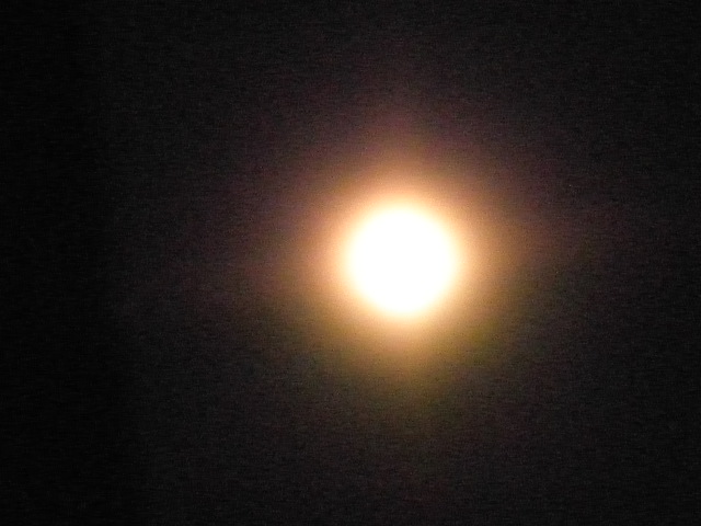 d0181461_3513198.jpg