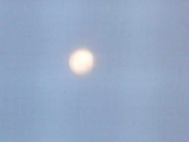 d0181461_351380.jpg